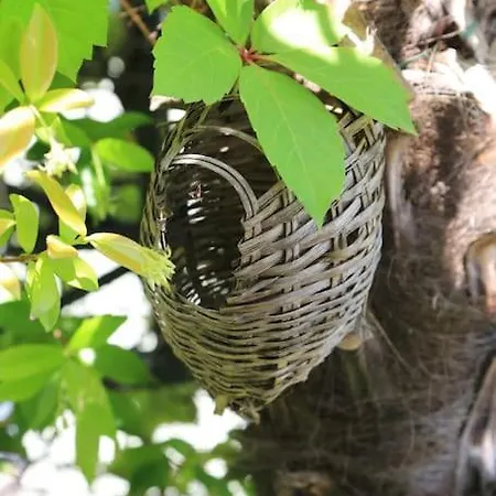 Lejlighed Romantico Attico Con Terrazzo In Centro