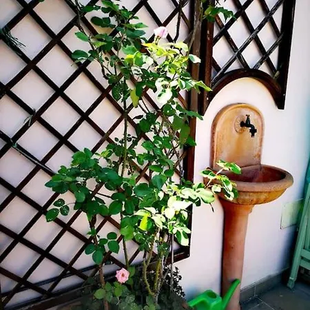 Centrale-luxury With Garden Terrace Apartment