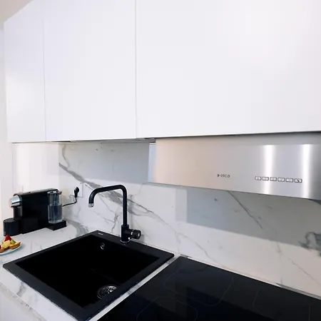 The Urban Wildlife - San Babila Duomo * מילאנו