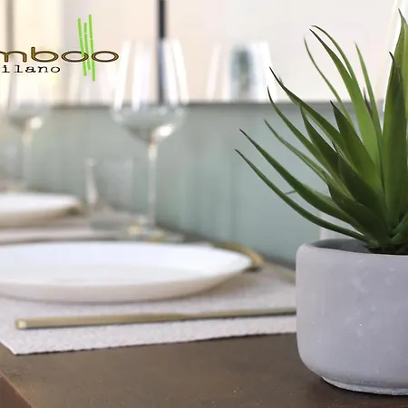 Bamboo Unione Class