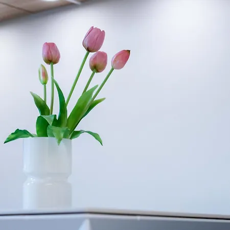 Luxury - Free Private - Parking Maestri Campionesi 16 Milano