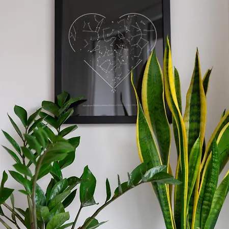 Appartement - Centro Storico Milaan