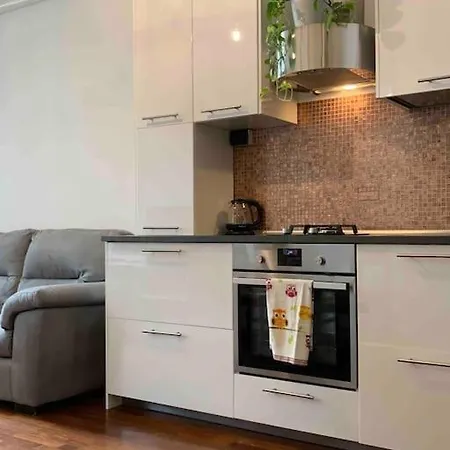 Comfortable Typical Old Style