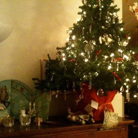 Bed & Breakfast Il Glicine In Citta *
