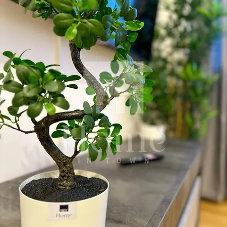 Apartamento In Town - - Porta Nuova District Milán