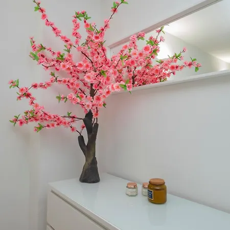 Apartment I Host - Forlanini 1