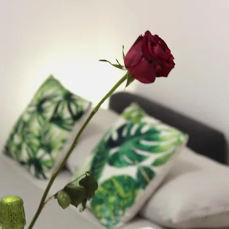 La Corte Dei Creativi Lussuoso In Centro