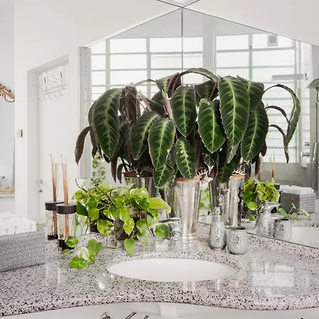 My Place - Navigli Bed & Breakfast 4*