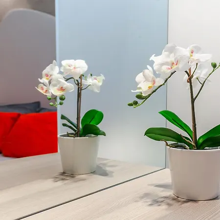 Orange M3 Duomo 12 Min * Mailand