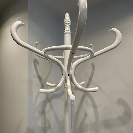 Flowers, A Cozy In Apartment