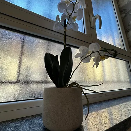 Flowers, A Cozy In