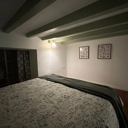 Flowers, A Cozy In *