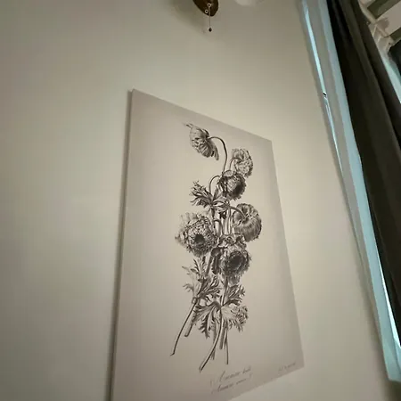 Flowers, A Cozy In Apartment