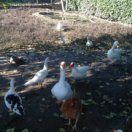 Farm stay Cascina Battivacco Milan