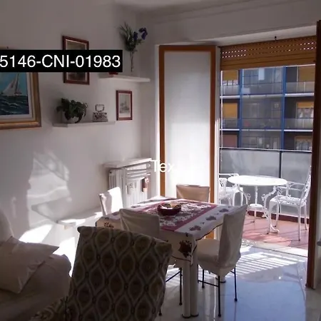 Luminoso Bilocale In Centro