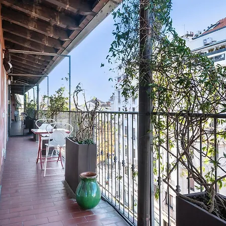 Fifty Eight Sforza *