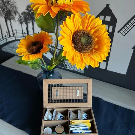Cici's Apartament