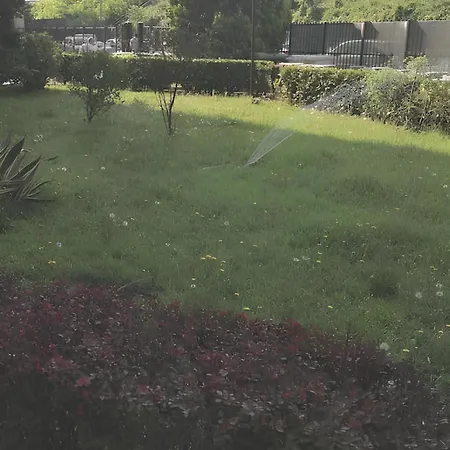 Ci Vediamo Da Mario *