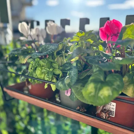 Casa Expo Sp Bed & Breakfast