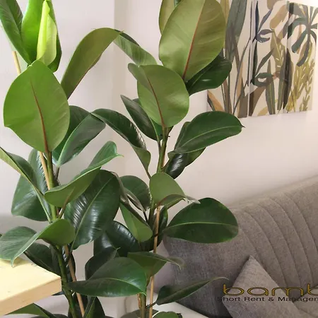 Bamboo Pastorelli شقة ميلان