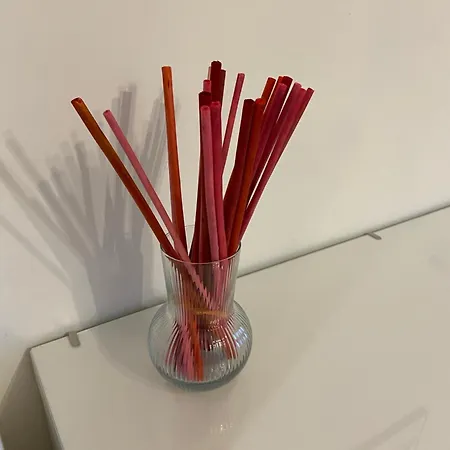 Studio 33 Apartament
