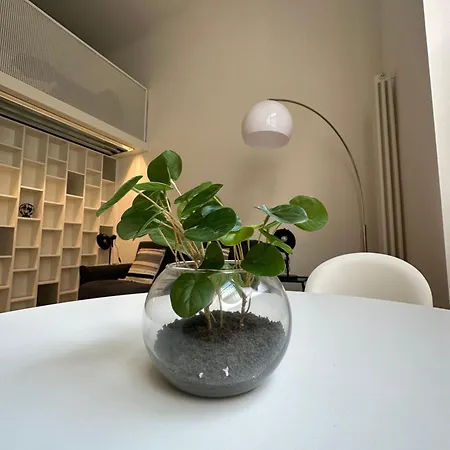 White In Apartment Milan