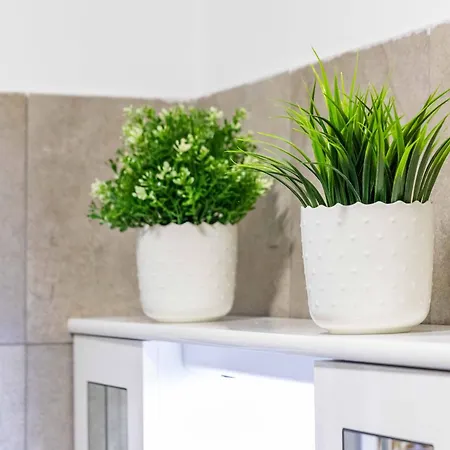 Divi - Strategic Place