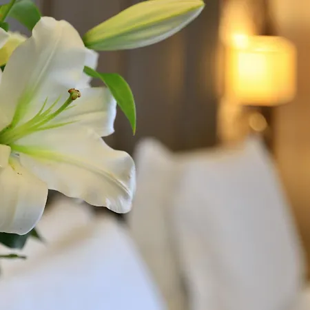 Hotel Klima Fiere Milano