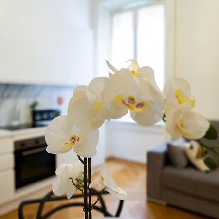 Macchi Delicious By 101flats *