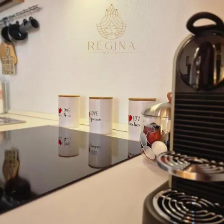 Daire Regina In Porta Romana 1 *