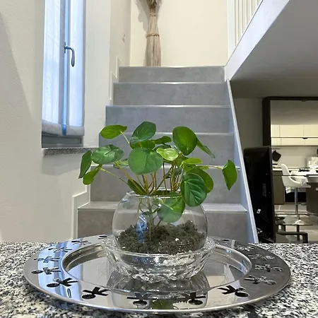 Elegant And Silent Loft In The Center Of ミラノ