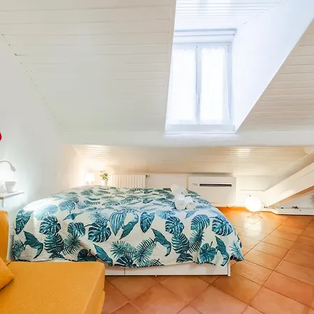 The White Jungle - San Babila Attic * Milan