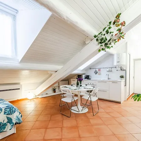 The White Jungle - San Babila Attic ميلان