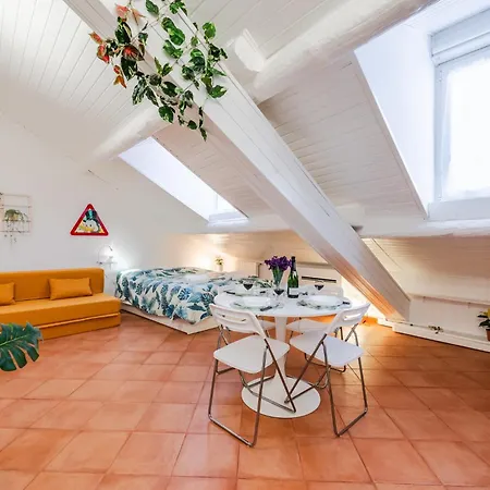 The White Jungle - San Babila Attic *