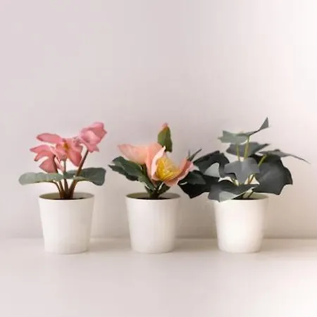 Lafilo 1 Apartman Milánó