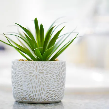 Private Luxury 5 Bedroom - Station