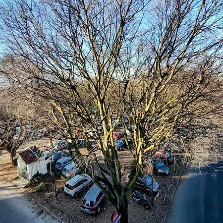 아파트 Bilocale Certosa- Fiera