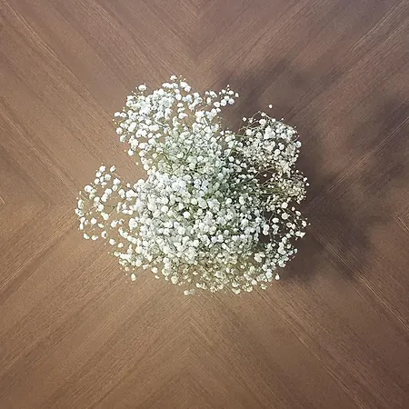 Homemi Solari 밀라노