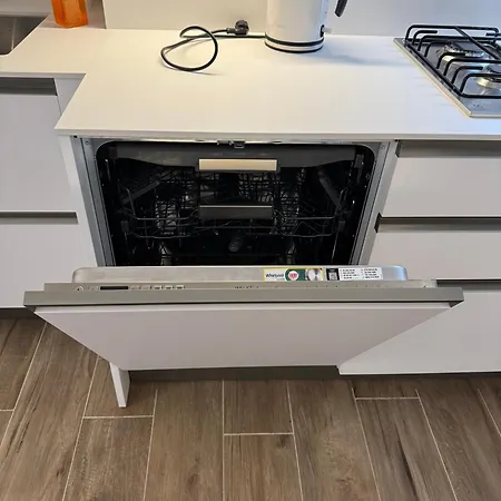 Wagner Проживание в семье *