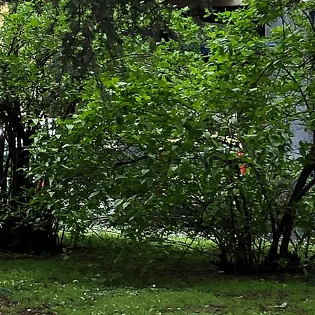 Apartment Luminoso Vista San Siro *