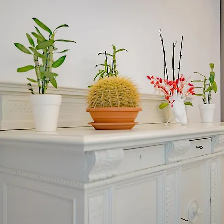 Elegance - Wi-fi Ultra Fast, Near Station 밀라노