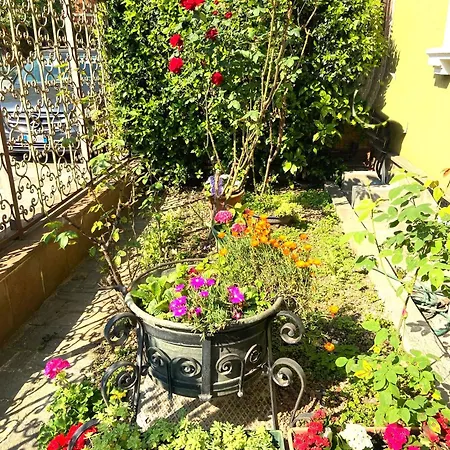 Apartment In *