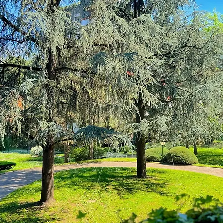 Apartment Greenhouse Milan