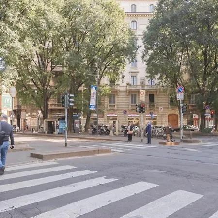 Wprelais Palm Fronds *