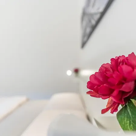 Ap12 Grazioso In Centro