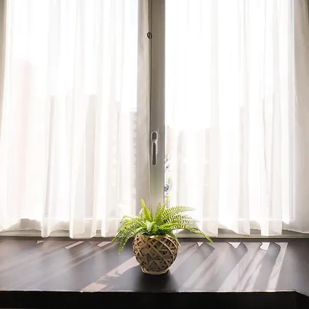 Primopiano - Stefini *