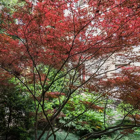 Classy Heritage Home, Center Lejlighed *