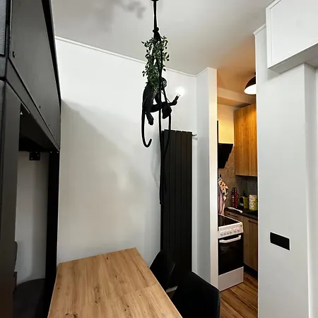 Apartment Splendido In Design