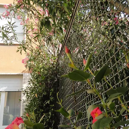 Giusti 6