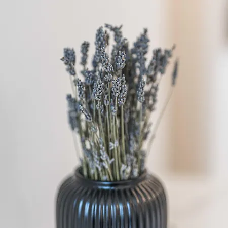 アパート Olympias Moscova ミラノ